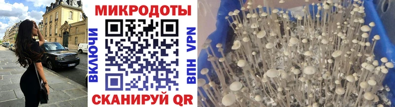 Псилоцибиновые грибы Cubensis Порхов