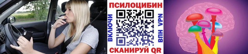 блэк спрут ТОР  Порхов  Псилоцибиновые грибы ЛСД 